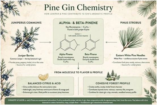 The Chemistry of Pine and Gin: Why It Works